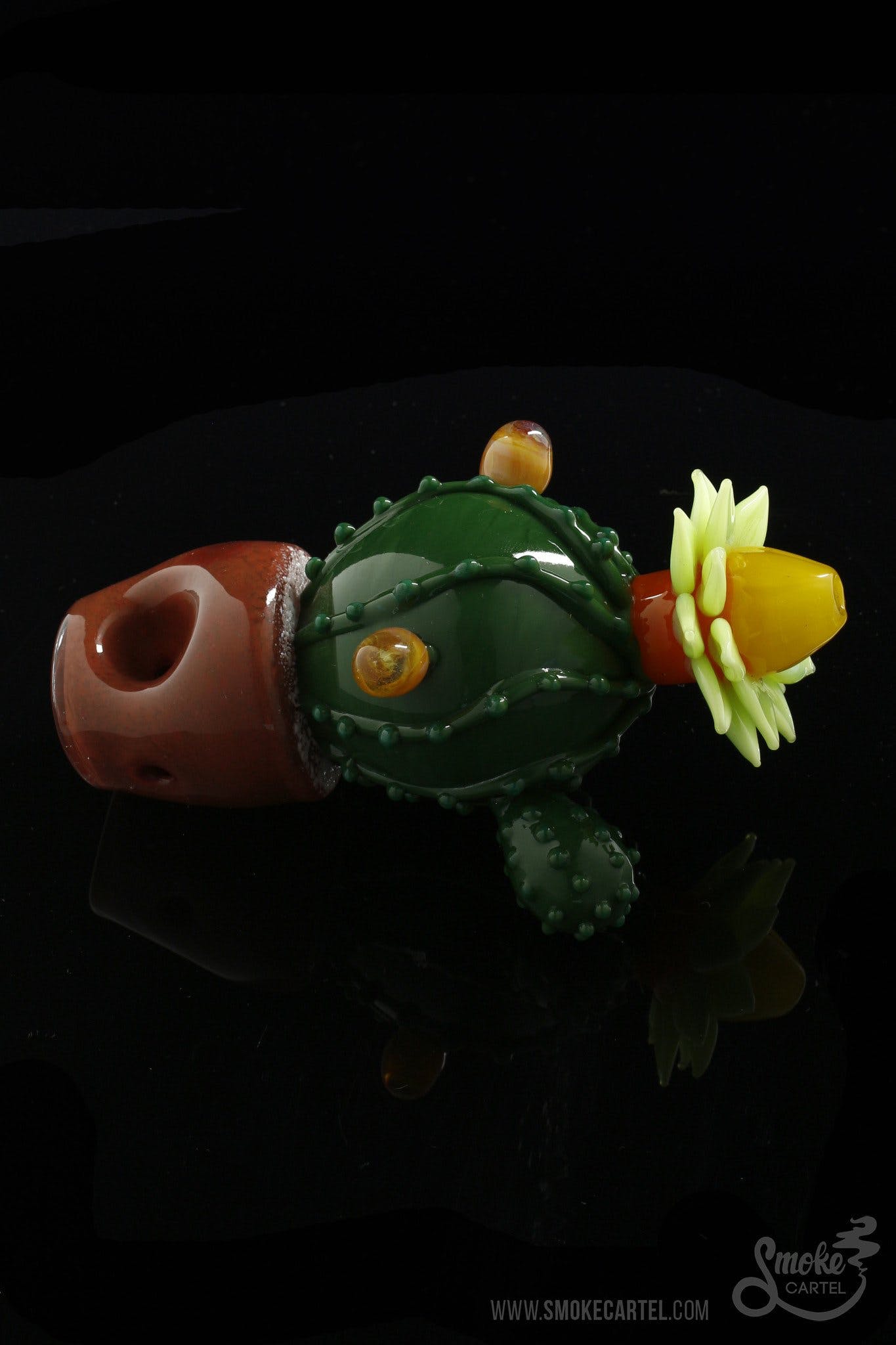 Glassheads Stunning Succulent Cactus Planter Spoon Pipe